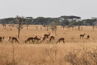 DSC_3397 (Large).JPG